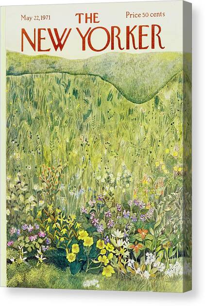 New Yorker May 22nd 1971 Canvas Art Print by Ilonka Karasz