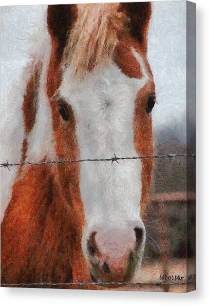 No Fences Canvas Art Print by Jeffrey Kolker