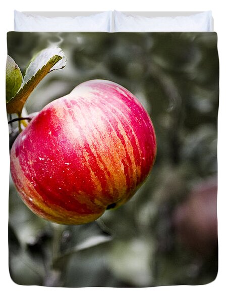 Apple Duvet Cover