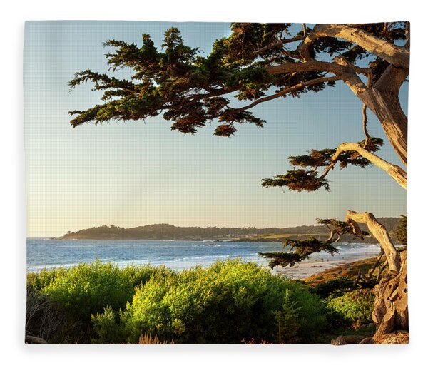 Coastal Tree Overlooking the Ocean Fleece Blanket