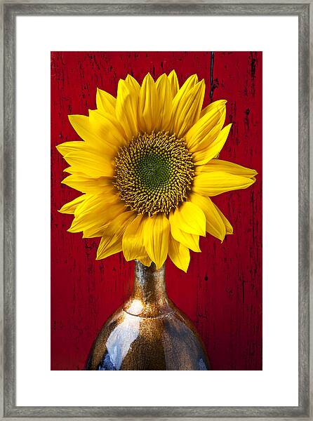 Sunflower in a Ceramic Vase Framed Print