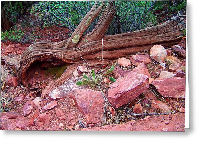 Colorado Trail View 2 Greeting Card