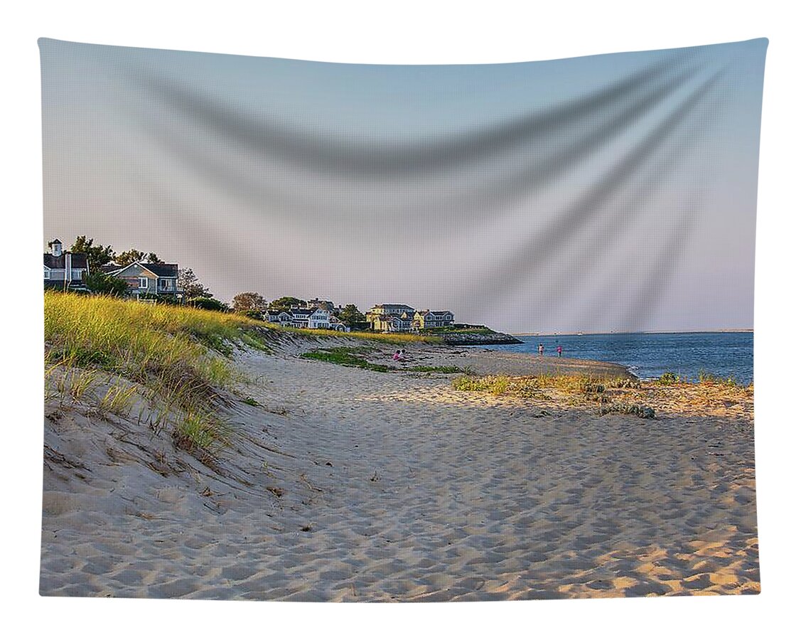 Serene Beach with Distant Houses Tapestry