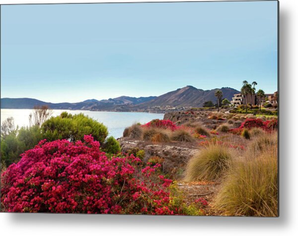 California, Pismo Beach, San Luis Obispo County #2 Metal Print