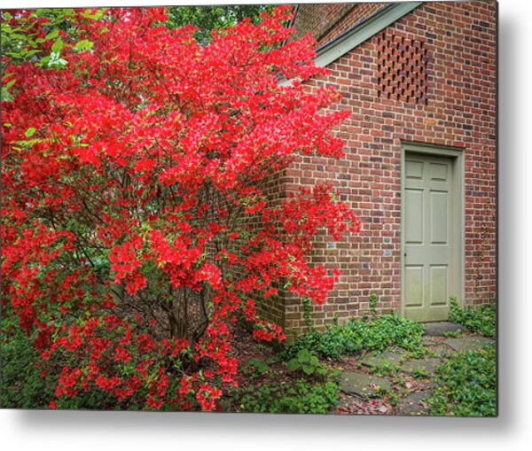 Red Azalea Bush And Red Brick House Metal Print