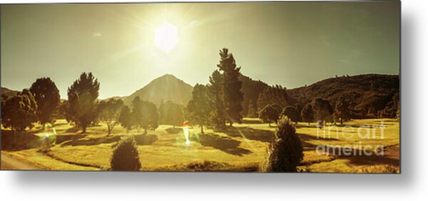 Golden Hour in Sunny Landscape Metal Print
