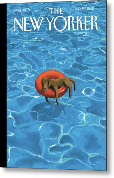 Dog Relaxing in a Pool Metal Print