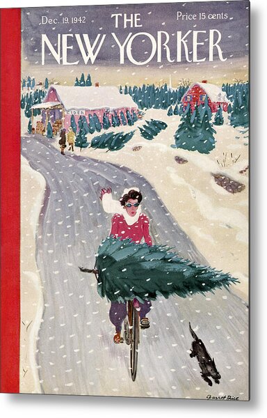 Cyclist Carrying Christmas Tree Metal Print