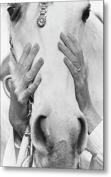 Hands Covering Horse's Face Metal Print