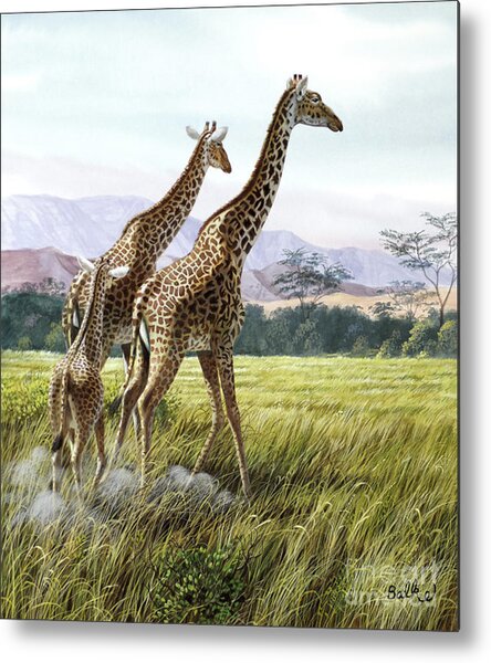 Giraffes Crossing Savanna Metal Print