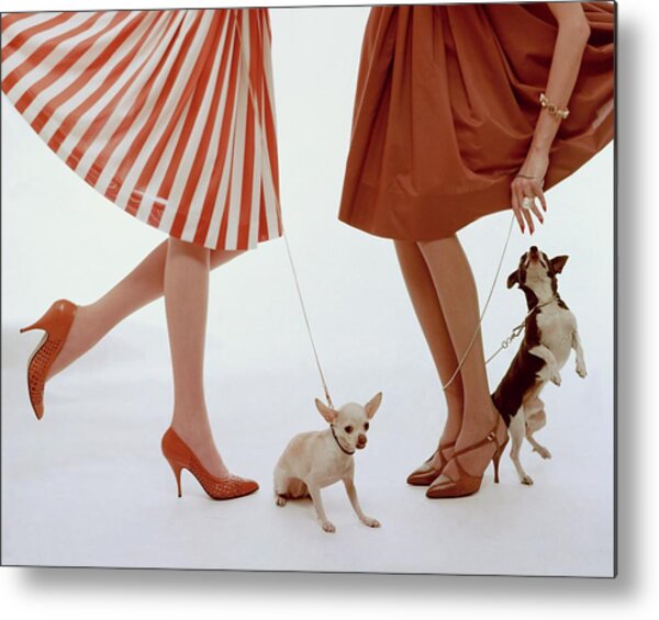 Chic Women Walking Small Dogs Metal Print