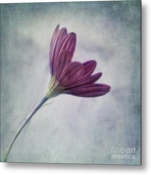 Flower Metal Posters