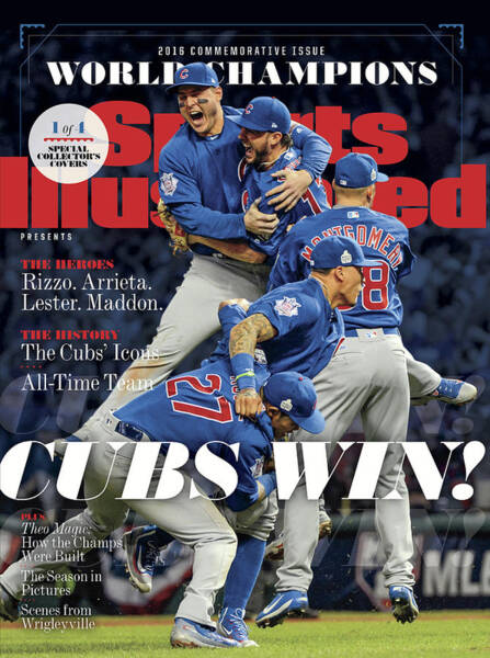 Cubs Celebrate World Series Victory Poster