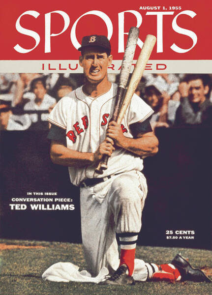 Ted Williams on Baseball Cover Poster