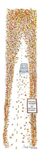 Autumn Drive Through Vermont Poster