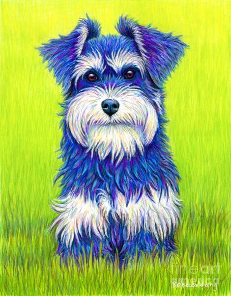 Colorful Miniature Schnauzer Dog Poster