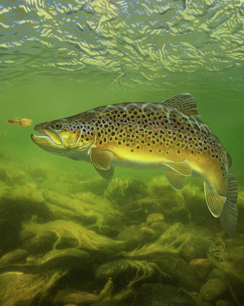 Fish Posters by Al Agnew
