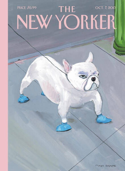 Bulldog with Blue Booties Poster