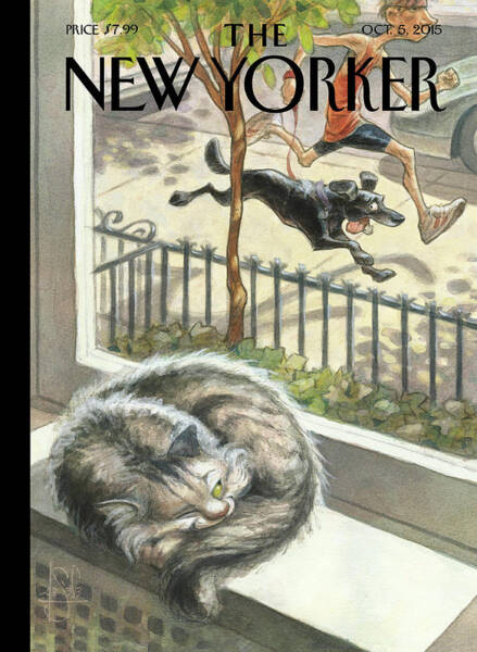 Cat Posters