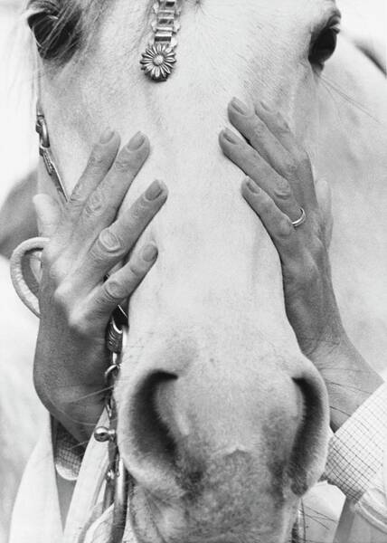 Hands Covering Horse's Face Poster