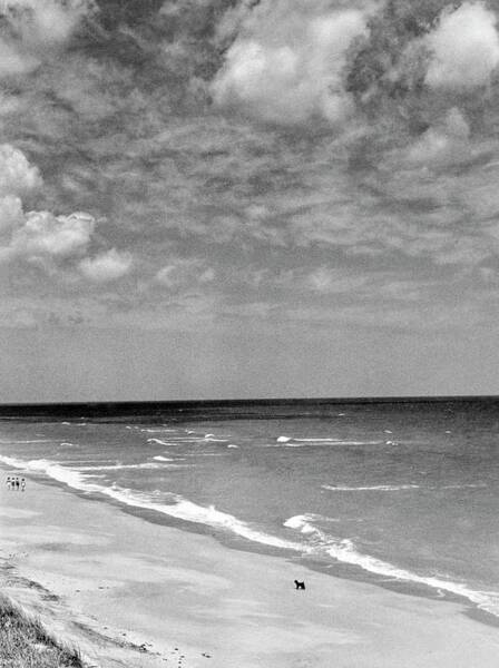 Serene Black and White Beach Scene Poster