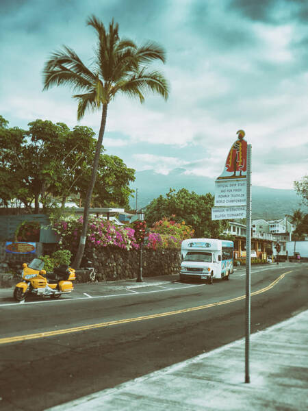 Tropical Street Scene with Palm Tree Poster