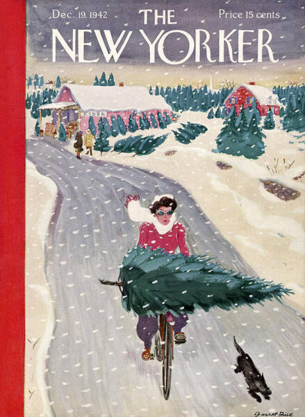 Cyclist Carrying Christmas Tree Poster