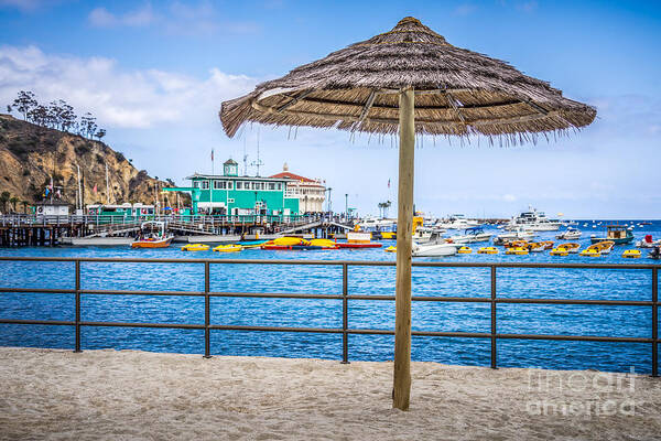 Catalina Island Straw Umbrella Picture Poster