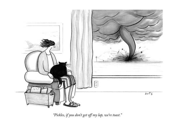 Tornado Approaches Cat and Woman Poster