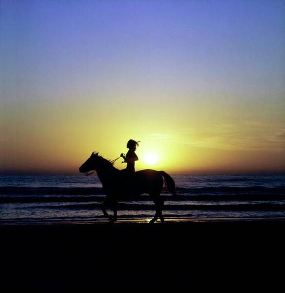 Margaux Hemingway On Horseback Poster