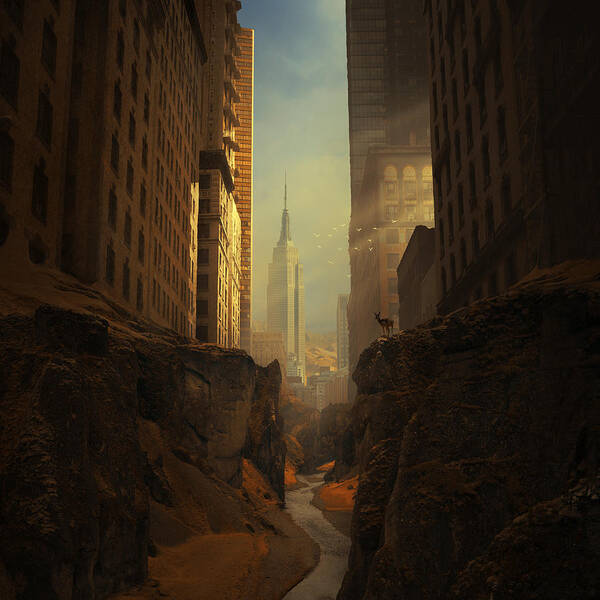 Cities Wall Art featuring the photograph 2146 by Michal Karcz