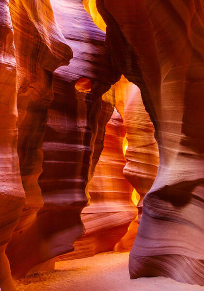 Majestic Antelope Canyon Photograph