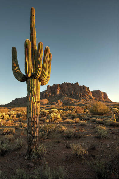 Majestic Desert Landscape at Sunrise Art Print