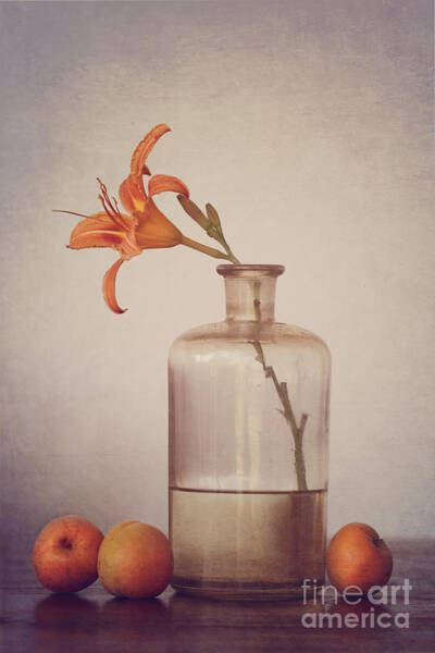 Orchid in Glass Vase and Apricots Wall Art