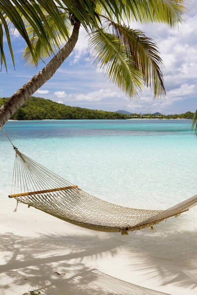 Tropical Paradise Hammock Wall Art