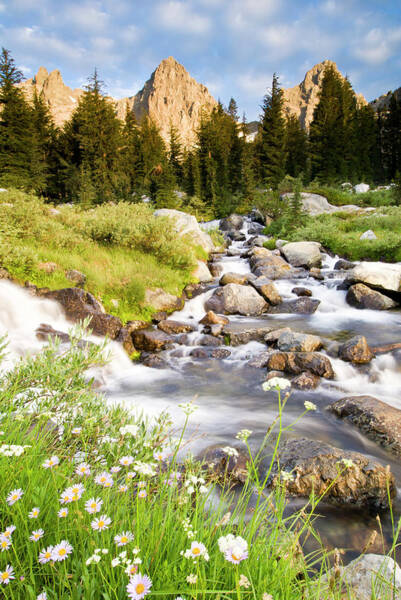 Idyllic Mountain Stream Landscape Wall Art