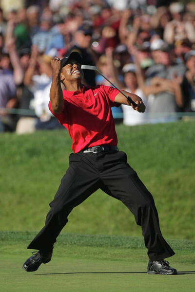 Tiger Woods Celebrates Victory Wall Art