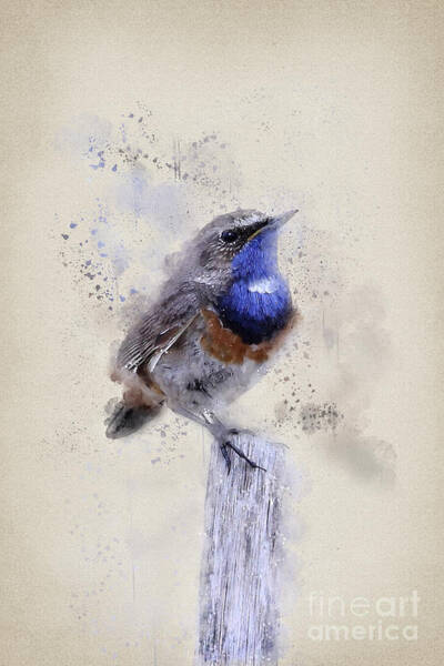 Blue Throat Bird Perched Art Print