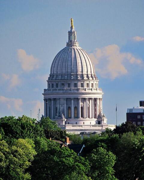 Capitol Building Dome with Trees Art Print