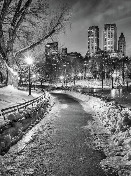 Winter Night in Central Park Wall Art