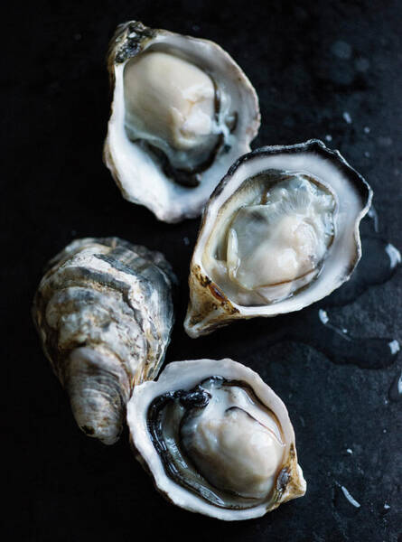 Fresh Oysters on Dark Backdrop Wall Art