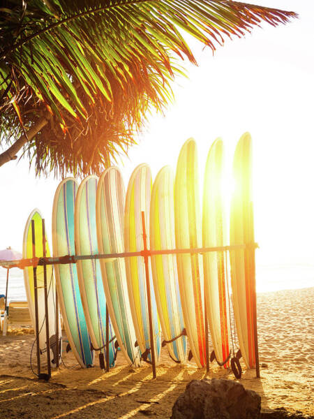 Sunlit Surfboards on Sandy Beach Wall Art
