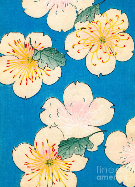 Cherry Blossoms on Blue Background Wall Art