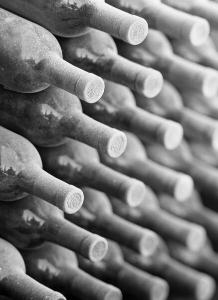 Dust Wall Art featuring the photograph Wine Bottles In Cellar B&w by Terry Vine