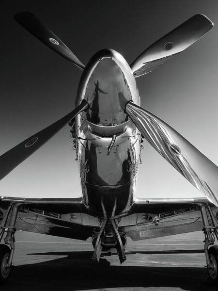 Vintage Airplane Propeller Close-Up Wall Art