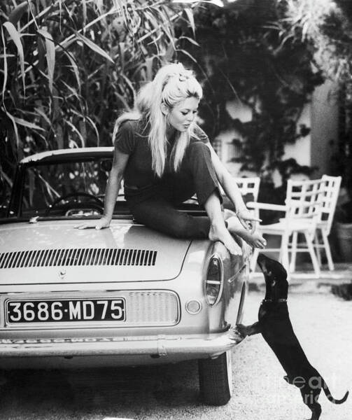 Woman with Dog on Classic Car Wall Art