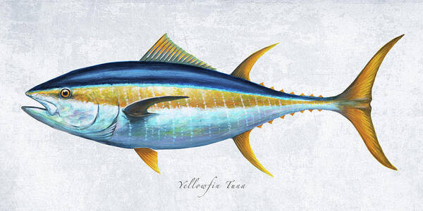 Yellowfin Tuna Side Profile Mixed Media