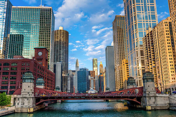 Chicago River and Skyline View Wall Art