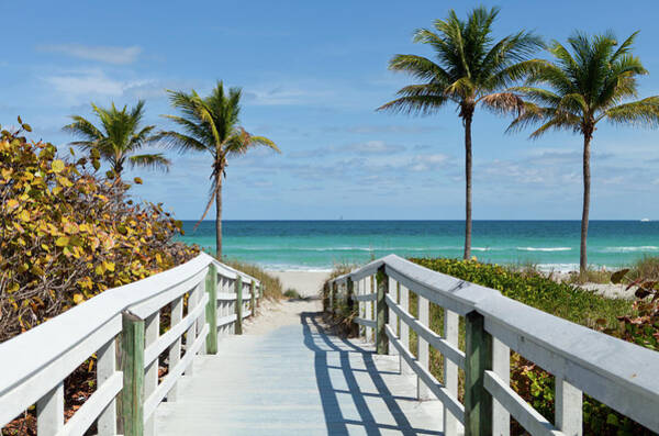 Tropical Beach Boardwalk with Palms Wall Art