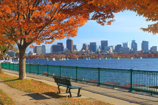 Autumn View of City Skyline Wall Art